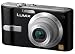 Electronics : Panasonic DMC FX10 (Black)