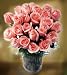 Send Fresh Cut Flowers - 25 Long Stem Pink Roses