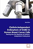 Clathrin-Independent Endocytosis of ErbB2 in Human Breast Cancer Cells: Peering Into the Mysteries of Clathrin-Independent Endocytosis