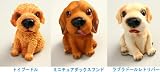 センサー内臓「プチポチ」 ミニチュアダックス