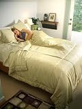 Dreamsacks King Size Silk Comforter-Honey