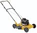 Poulan Pro PR450N20S Side Discharge Push Mower, 20-Inch