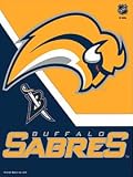 Buffalo Sabres 11x15 Economy Garden Flag