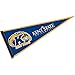 College Flags & Banners Co. Kent State Pennant Full Size Felt