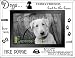 PUPPY LOVE etched glass expressions keepsake frame
