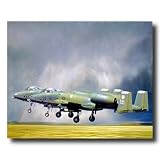 A-10 Thunderbolt Jet Airplane Picture Art Print