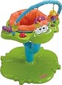 Fisher-Price Bounce and Spin Froggy Entertainer