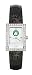 Boston Celtics Ladies Allure Leather Watch