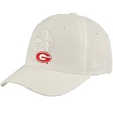 Zephyr Georgia Bulldogs White Vortex Fitted Hat