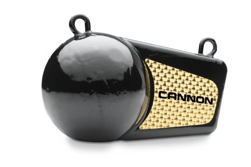 Cannon 8 pound Flash weight