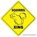 SQUIRREL CROSSING -Sign- new xing signs squirrel
