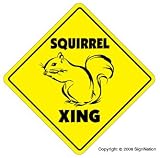 SQUIRREL CROSSING -Sign- new xing signs squirrel