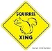 SQUIRREL CROSSING -Sign- new xing signs squirrel