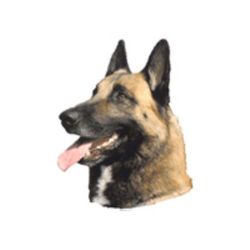 World Stickers Schwandt Heimtierbedarf 12161 Aufkleber 4 St&uuml;ck ca. 80 x 80 mm f&uuml;r Warnschild Belgian Malinois
