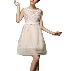 Sleeveless Organza/Polyester Bubble Dress Floral Print Scoop Neck Embroidered Lace  Dress