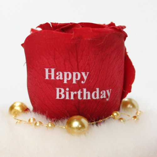 Cover image : メッセージローズ (Preserved Rose) ローズドーム S1～情熱のラブジャック～レッド 【リボン付き】【Happy Birthday】 22214