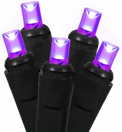Set of 50 Purple LED Wide Angle Halloween Lights - Black Wire