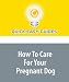 How To Care For Your Pregnant Dog: 8 Simple Steps for Making Your Dog's Pregnancy a Breeze