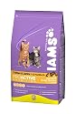 Cat Food - Dry Iams - 10kg Iams Kitten & Junior Rich In  Chicken