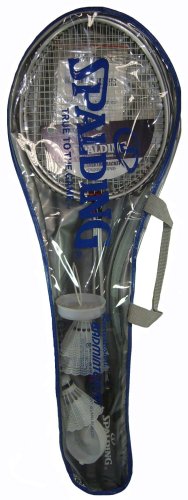 SPALDING DX バトミントンセット