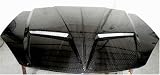 IPP 05 06 07 PONTIAC G6 CARBON FIBER HOOD - IMAGE PERFORMANCE PRODUCTS, INC.