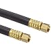 Goodyear EP NR Spray Black Nylon Paint Spray Hose Assembly, Brass NPSM Female Couplings, 750 PSI Maximum Pressure