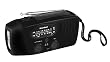 Karcher KR 110 tragbares Kurbelradio (AM/FM-Radio, Taschenlampe, Handy-Ladefunktion) schwarz