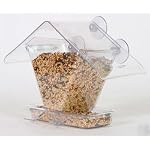 Window Café Hopper