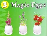 Garden Style Magic Eggs Outdoor Living
