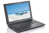 Fujitsu Amilo Li 3910 43cm (17 Zoll) WXGA+ Notebook (Intel T3000 1,8GHz, 3GB RAM, 320GB HDD, Intel GMA 4500M, DVD+- DL RW, Vista Home Basic schwarz