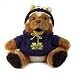 Pack of 2 NCAA Michigan Wolverines Stuffed Toy Plush College Mascots 9"