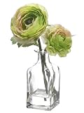 7.5 Ranunculus x2 in Glass Vase Green (Pack of 6)