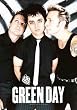 Green Day Band 30'' x 40'' Textile/Fabric Poster