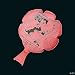 Whoopee Cushions