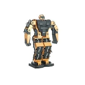 humanoid robot