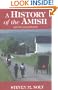 A History of the Amish, Revised and Updated!