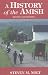 A History of the Amish, Revised and Updated!