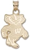 Univ Of Wisconsin Bucky Badger 3/4 Charm/Pendant -14K/10K, Stainless Steel or Gold Plated