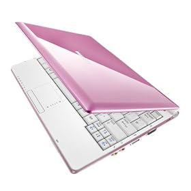 Samsung NC10 10.2-inch Mini-Notebook