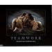 Teamwork Motivational Parody Photo Poster - 24x36