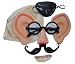Search : The Official Kids Disguise Kit