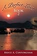 A Perfect Love: Book Two