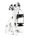 Dalmatian Dog Garden Solar Lantern Statue