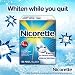 Nicorette White Ice 4mg Coated Mint Nicotine Polacrilex Gum - 190 Pieces