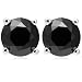 14k White Gold Black Diamond Stud Earrings (1 cttw)