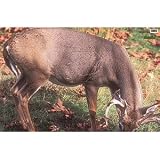 Martin Archery Game Targets - Whitetail Deer