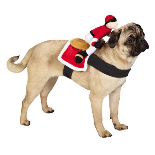 Zack & Zoey Saddle Jockey Costume, Medium