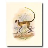 Tropical Tree Monkey Climbing Animal Wildlife Home Decor Wall Picture 16x20 Art Print