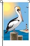 Surfside Pelican