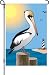 Surfside Pelican